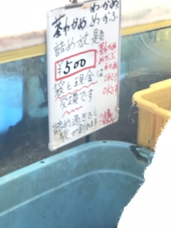 C5B0F076-F458-4411-8855-16683CEA11FC.jpeg